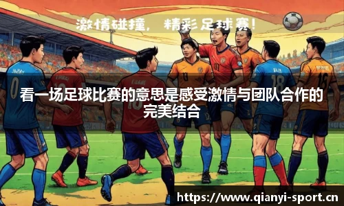 看一场足球比赛的意思是感受激情与团队合作的完美结合
